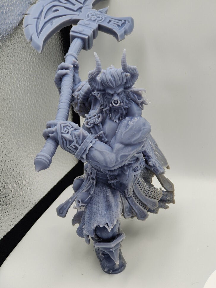 print Anycubic Photon Mono M5s photo