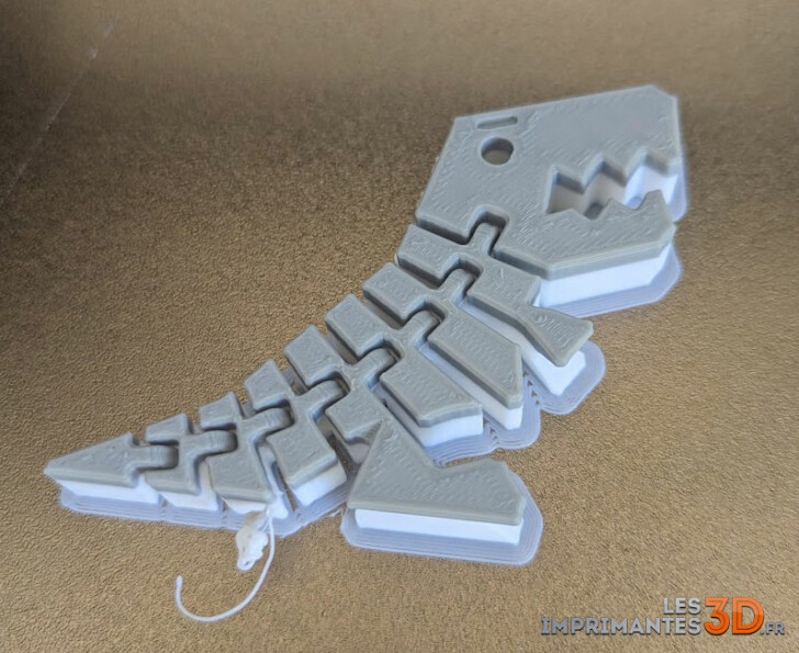 impression 3D flexirex flexi rex