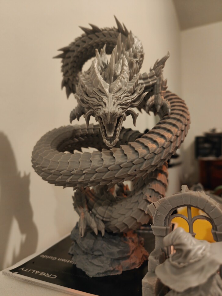dragon mizuchi 3D grand print