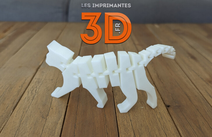 chat articule imprime en 3D 1