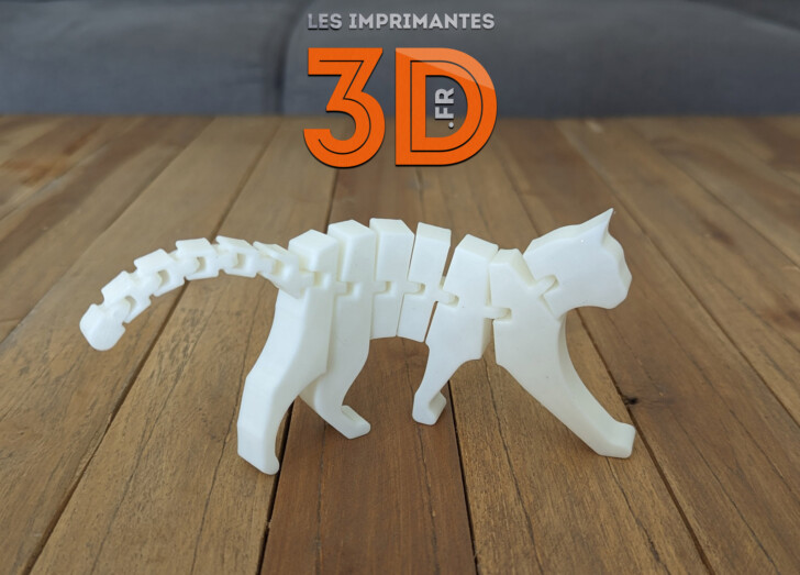 chat articule imprime en 3D 2