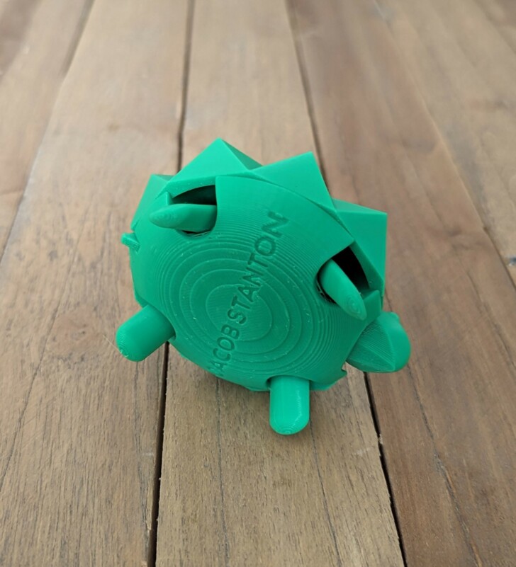 Test Bambu Lab P1S Print PLA Tortue articulée 005