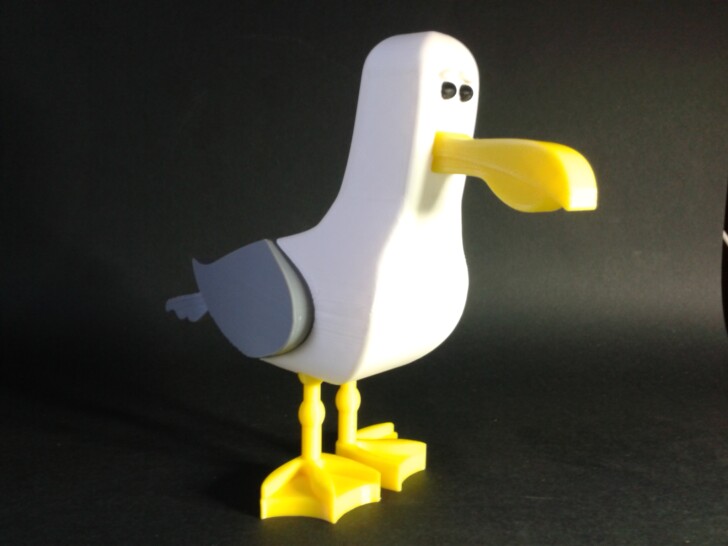 photo monde Nemo mouette 3D print