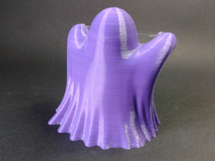 Test AKobra2Pro print TPU85A Ghost Booh IMG 20231004 121154