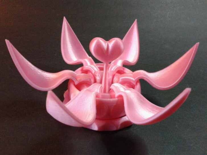 Test Q1Pro Print PLA Valentines Day Blooming Flower Gift Box IMG 20240316 163324 q85