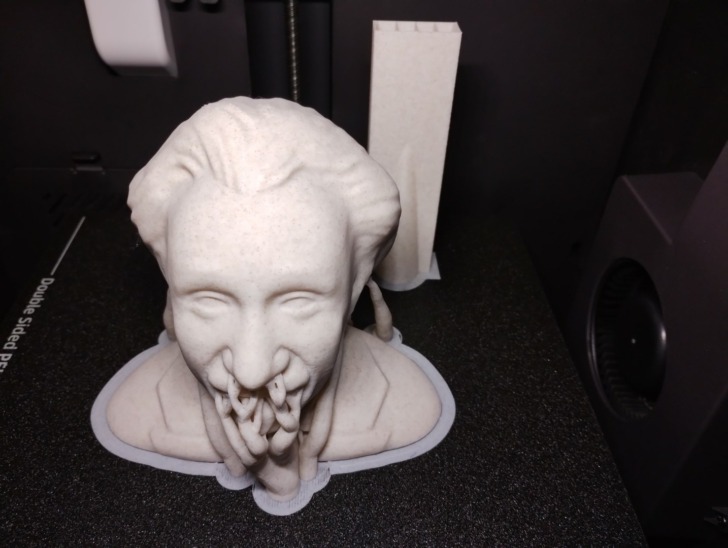 einstein buste