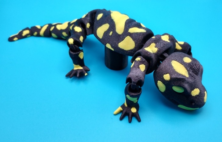 salamandre 3