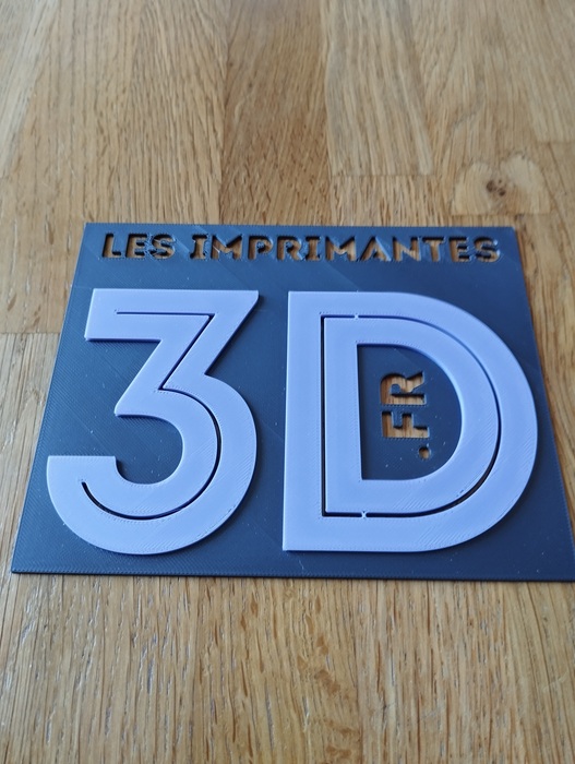 coprint logo li3d