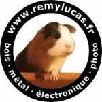 electroremy
