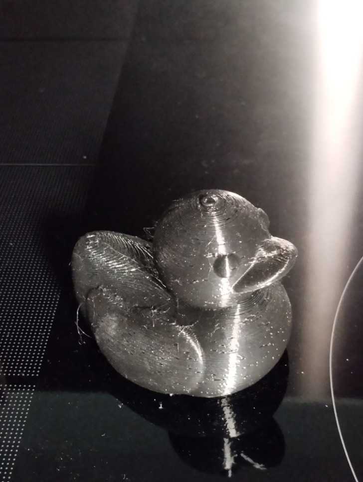 bambu lab P2S canard 1