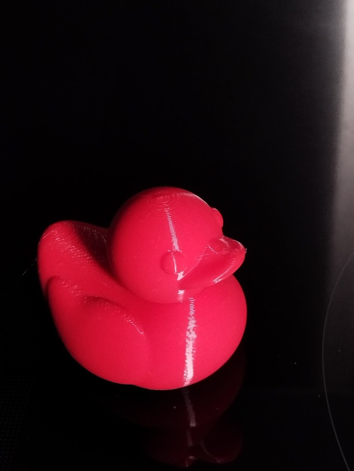 bambu lab P2S canard 2