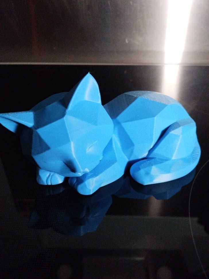 bambu lab P2S chat endormi