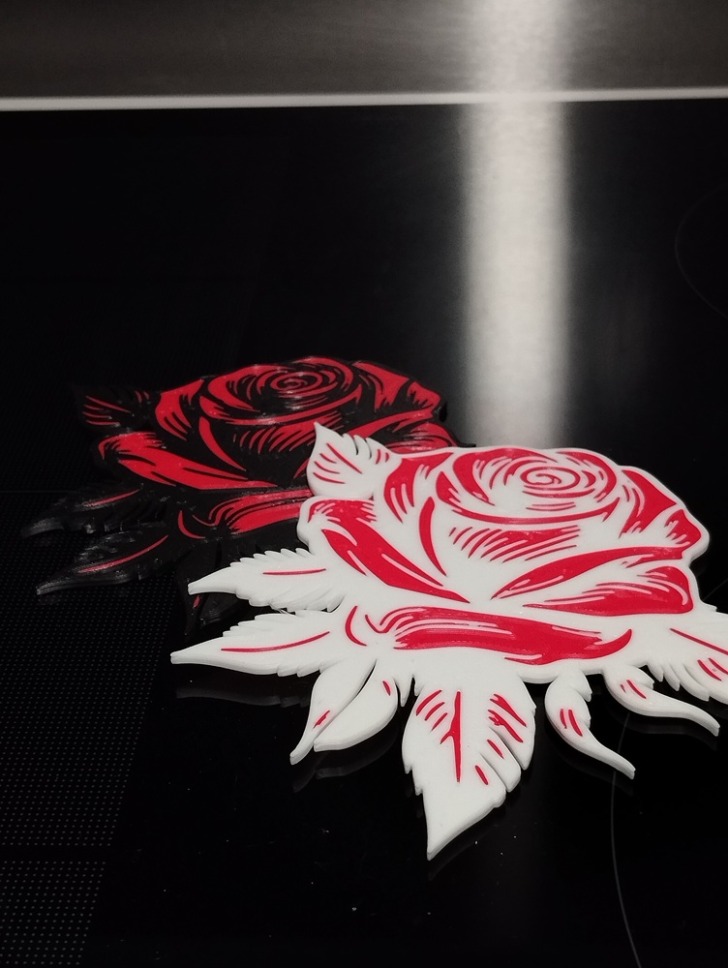 bambu lab P2S sous verre