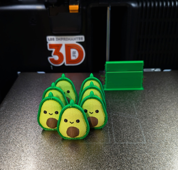 avocat imprimé en 3D