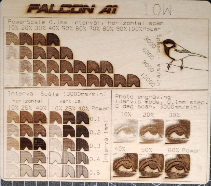 lb gravure falcon a1
